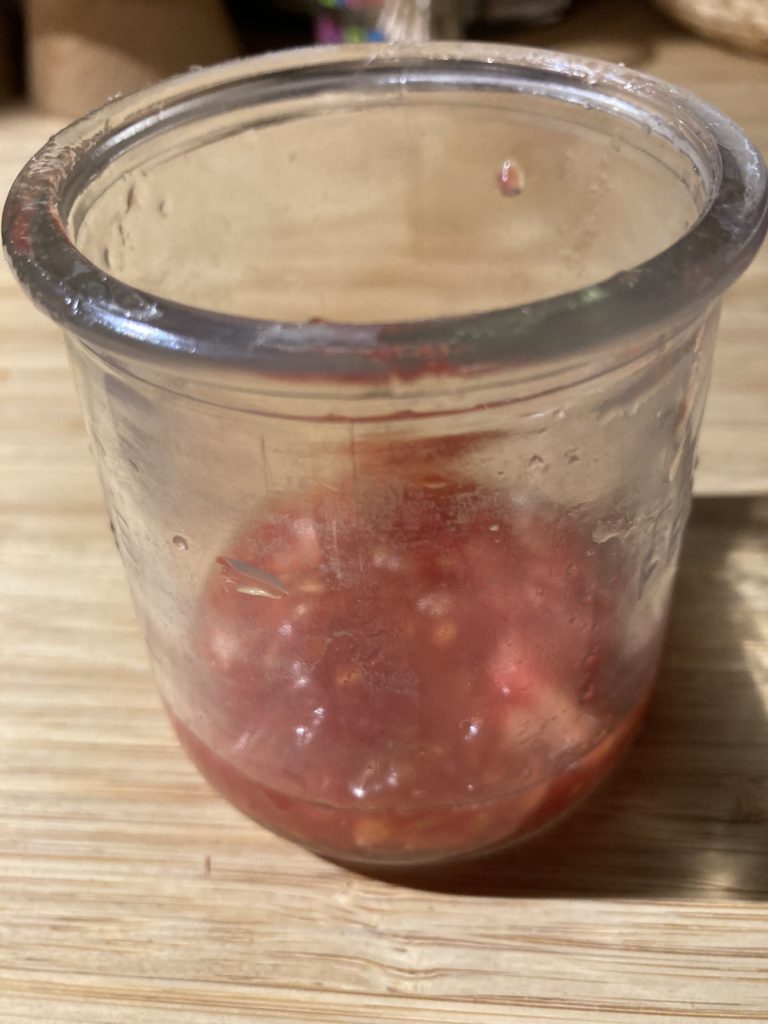 Graines de tomates en fermentation